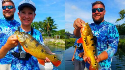 Summer Rain Exotic Fishing