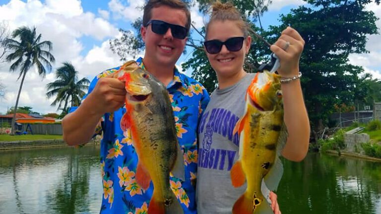 Honeymoon Fishing Charters for Exotic Miami Peacock Bass 11 Honeymoon Fishing Charters