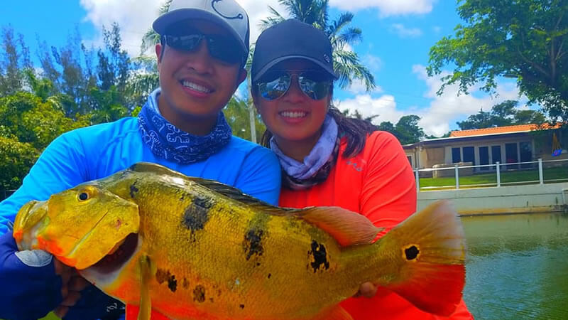 A selection of various baits and lures used for peacock bass fishing during spawning season.
