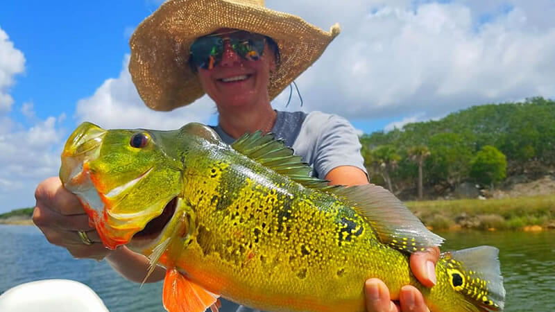 Peacock Bass Fishing Charter