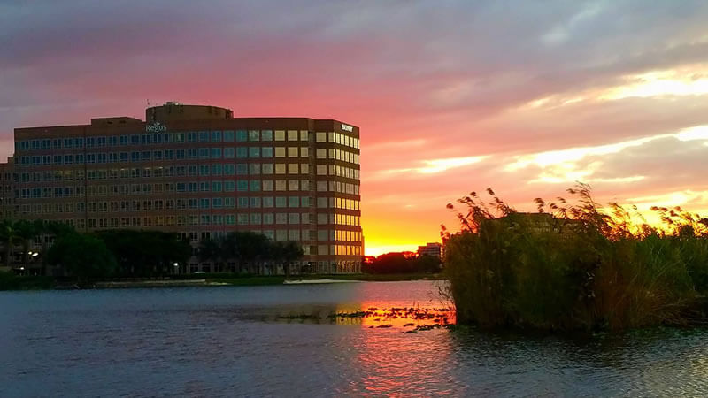 A depiction of South Florida's unique ecosystems and their relation to bass fishing.