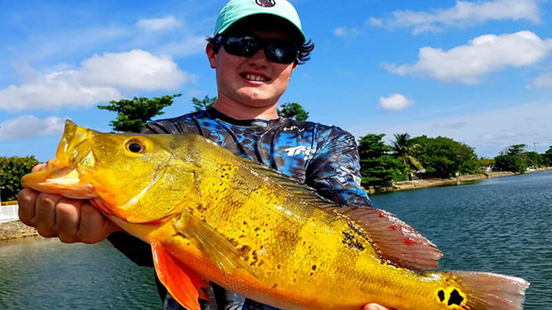 Peacock Bass Fishing Spawn 1