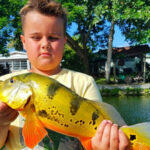 Airport Lakes thumbnail