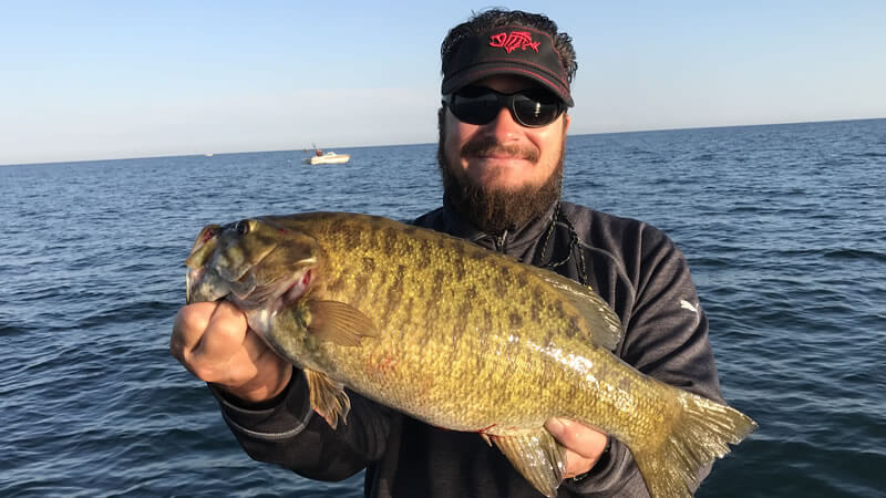 Chasing Brown Smallmouth Bass 1