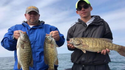 Chasing Brown Smallmouth Bass