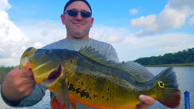 Big Florida Peacock Bass 1