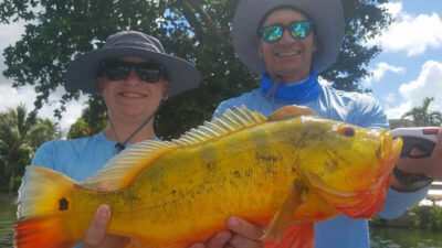 Big Florida Peacock Bass Fishing Charters in South Florida