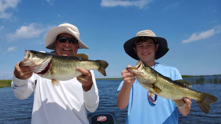 Wow Factor Artificial Fishing