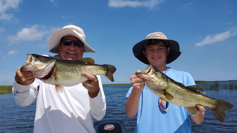 Wow Factor Artificial Fishing