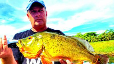 October Palm Beach Fishing Report for Florida Peacock Bass 3 October Palm Beach Fishing 1