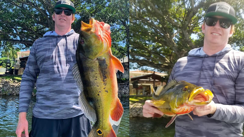 Topwater Peacock Fishing Trip
