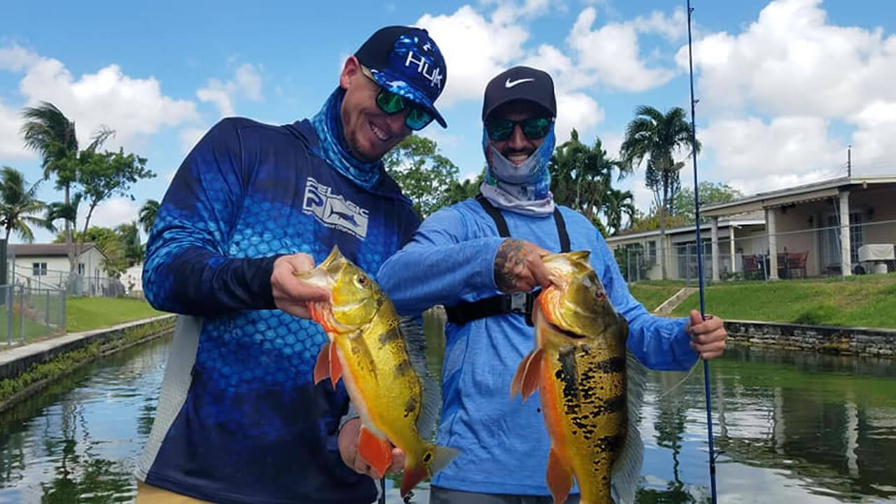 Miami Urban Peacock Bass Fishing 3