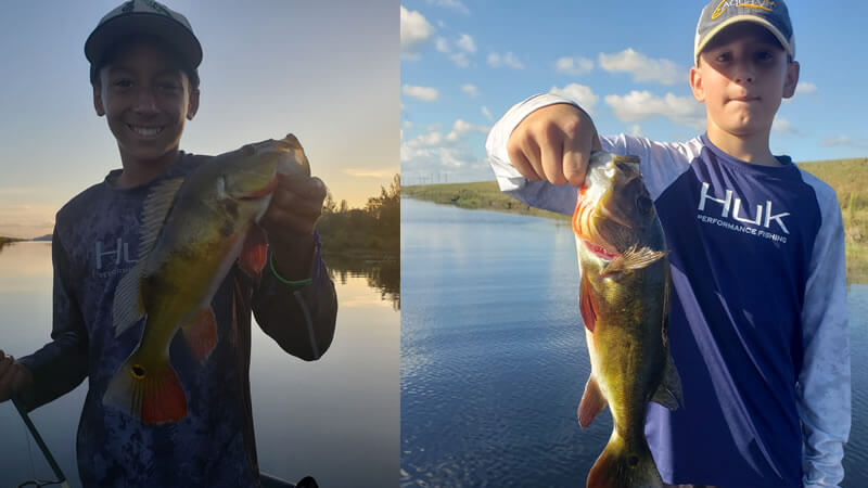 October Peacock Bass Fishing 2