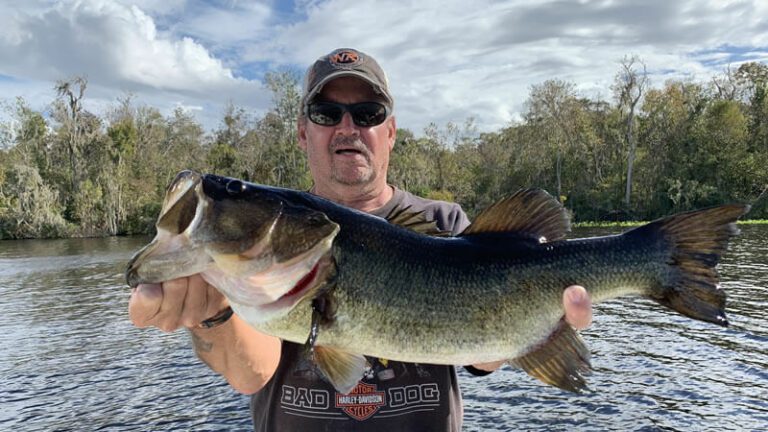 Sandbar North Florida Fishing Guides