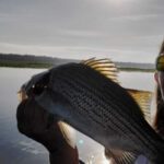 Big Sand Lake thumbnail