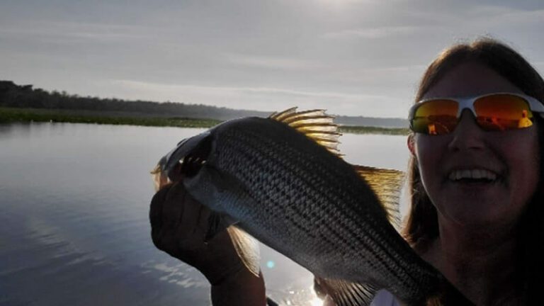 Sandbar North Florida Fishing 3