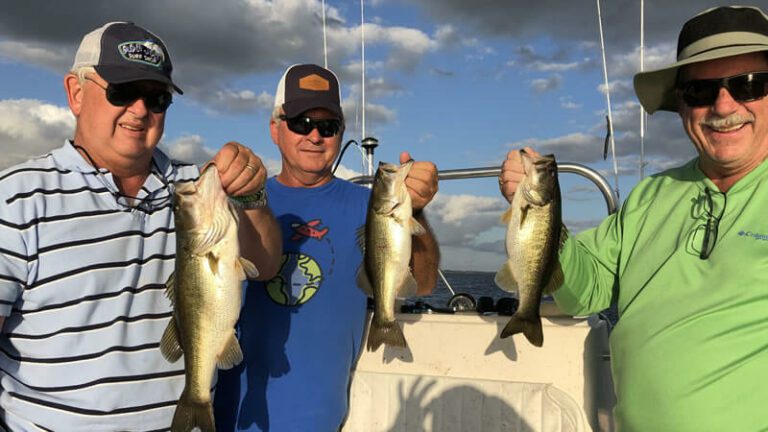 Sparse Grass Bass Fishing