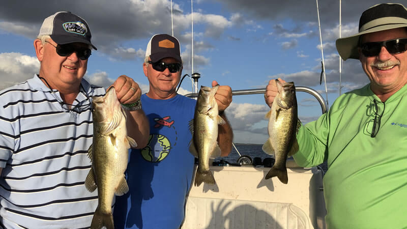 Sparse Grass Bass Fishing