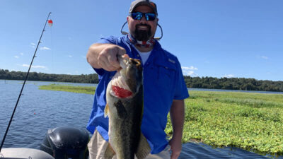 Bass Fishing in November: North Florida Seasonal Guide