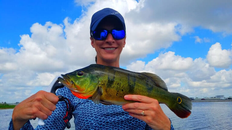 FL Peacock Bass Trips