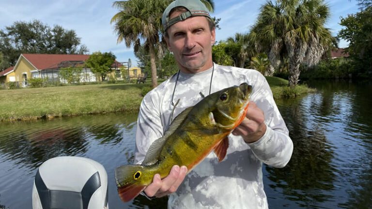 December Naples Holiday Fishing