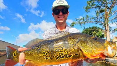 December Airport Lakes Fishing