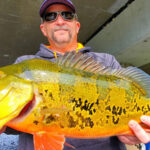 Snapper Creek Canal thumbnail