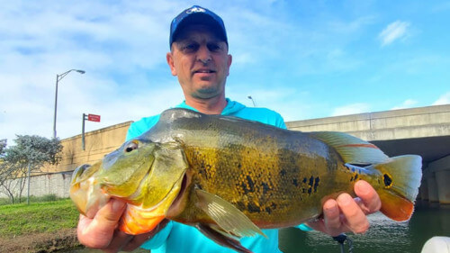 February-Miami-Bass-Fishing-2