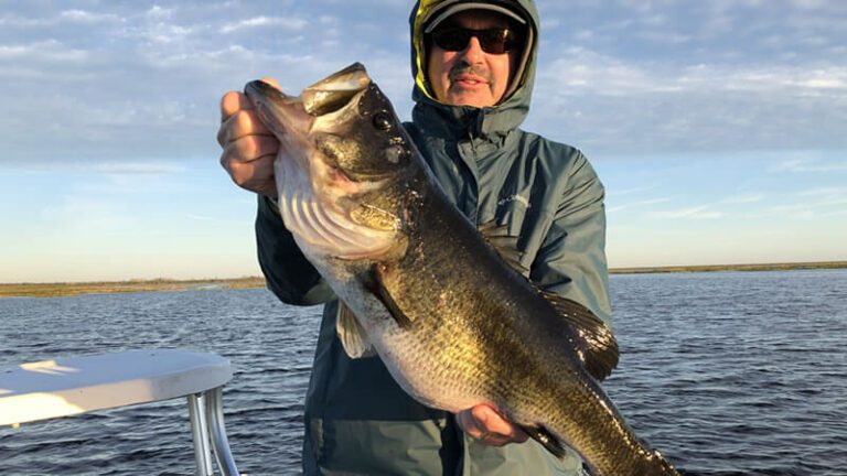 Top Lure for Winter Bass Fishing