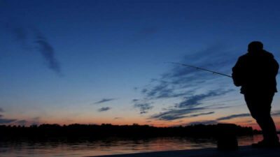 Bass Fishing at Night