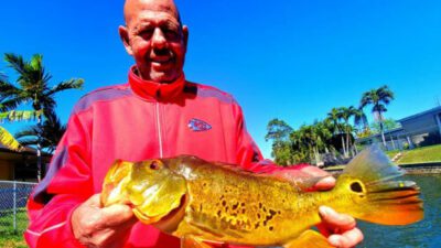 March-Trophy-Peacock-Bass-Fishing-Trip