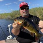 Florida Everglades Trips