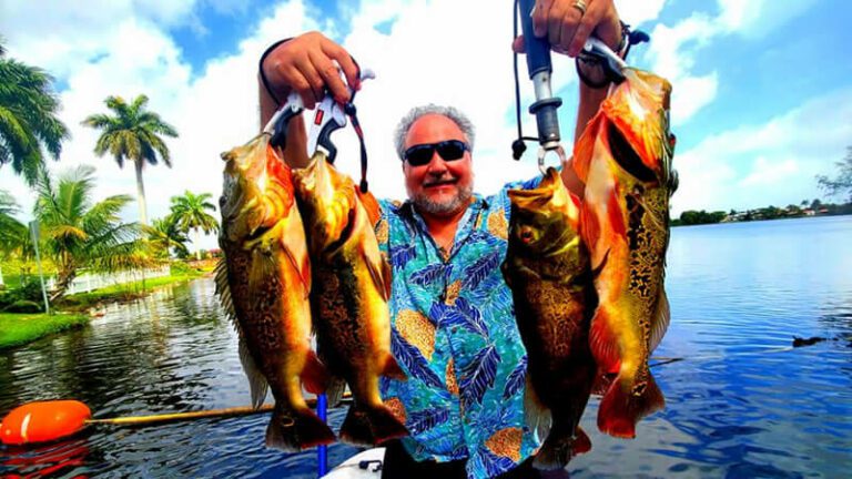 March Trophy Peacock Bass Fishing Trip in South Florida 12 March-Trophy-Peacock-Bass-