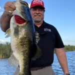 Alligator Alley 35 thumbnail