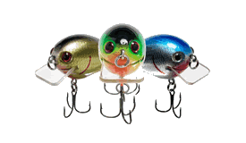 Crank baits - Fishing Lures and Baits for Florida Lakes