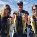 Everglades Bass Fishing