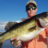 Giant Okeechobee Largemouth Bass