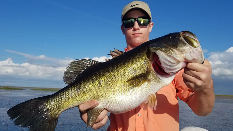 Giant Okeechobee Largemouth Bass