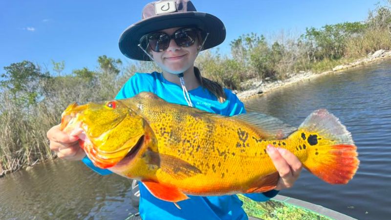Everglades Peacock Bass Capt Mark Rose