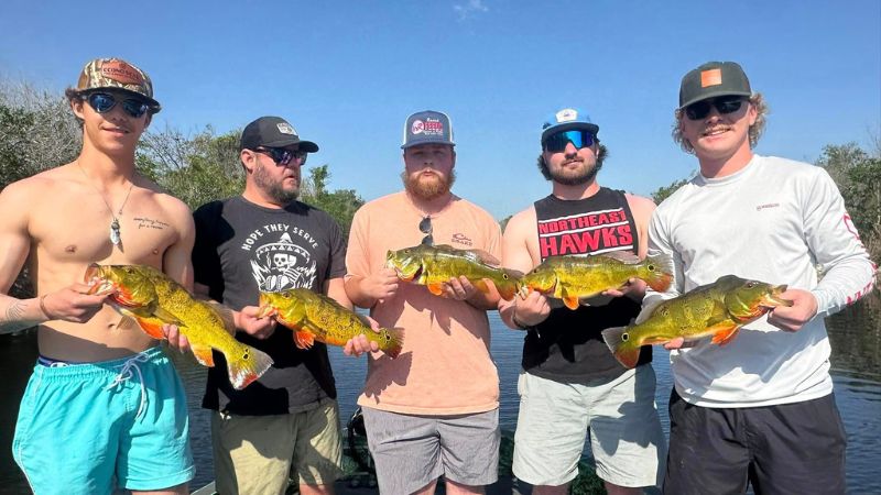 Florida Everglades Peacock Fishing Capt Mark Rose