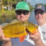 C 14 Canal thumbnail