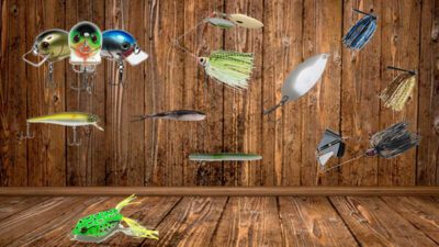 Different lures used for catching prespawn bass