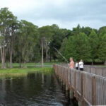 Turkey Lake thumbnail