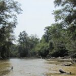 Yellow River thumbnail