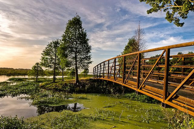 Lake Parker photo