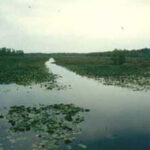 Lake Miccosukee thumbnail