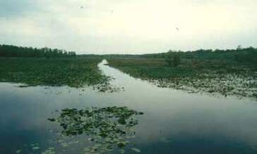 Lake Miccosukee photo