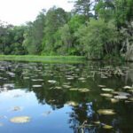 Lake Iamonia thumbnail