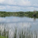 Saddle Creek Park thumbnail