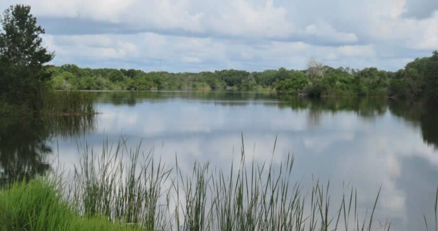 Saddle Creek Park photo